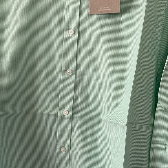 New Everlane Womens Mint Green Oversized Pinstripe Button Down Blouse Size 2 - Picture 4 of 11